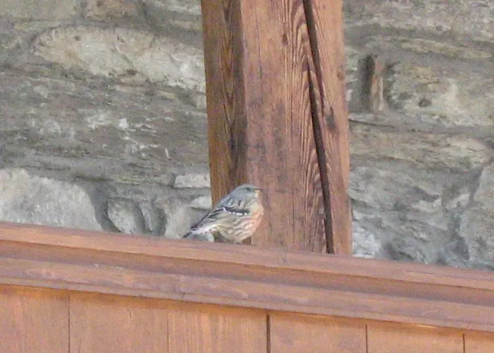 Appartement Maison De La Place *